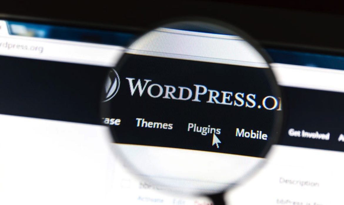 Six Plugins That Every WordPress Website Should Have
