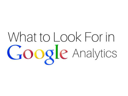 What to Look for In Google Analytics